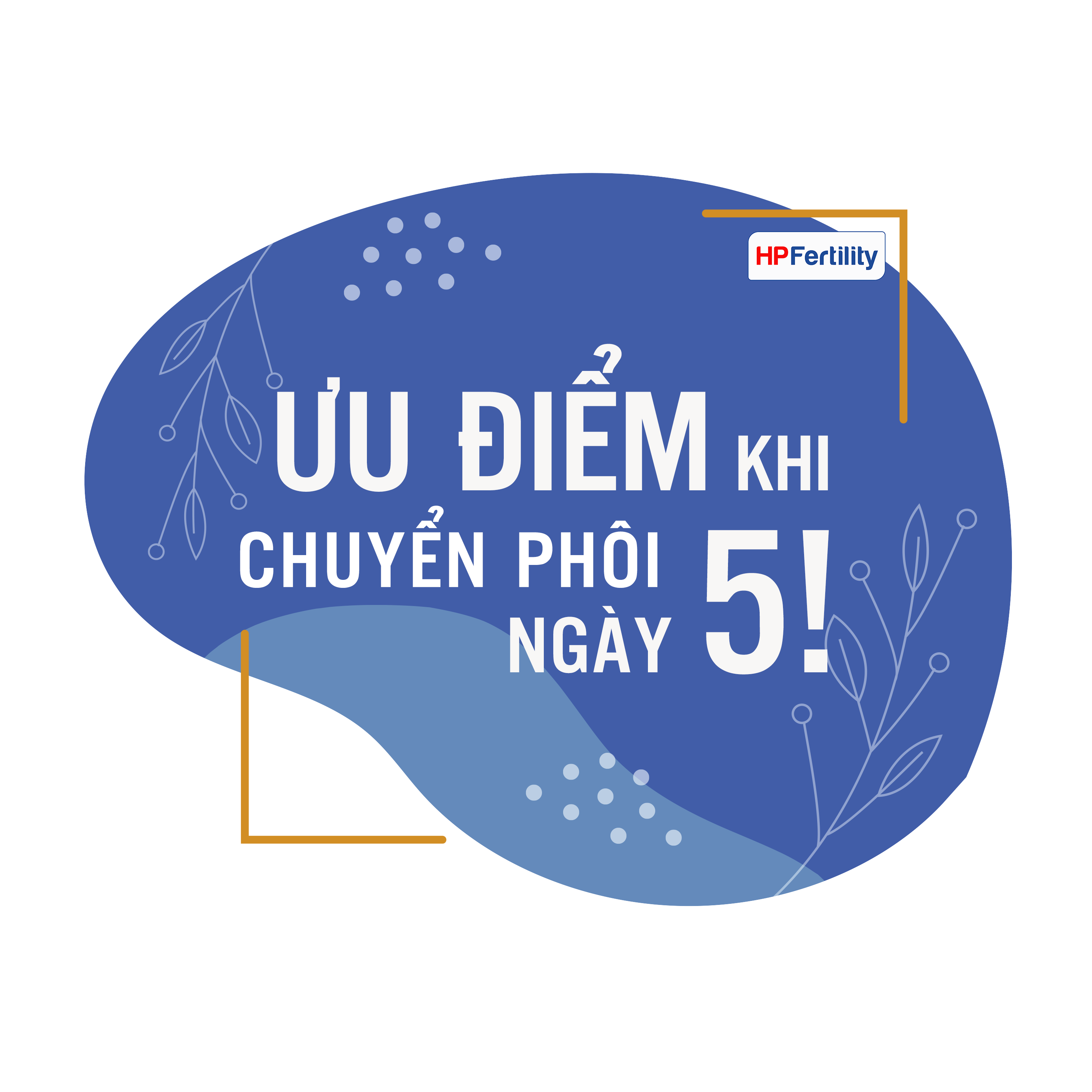 Tỷ lệ thành công của sàng lọc phôi ngày 5 là bao nhiêu?
