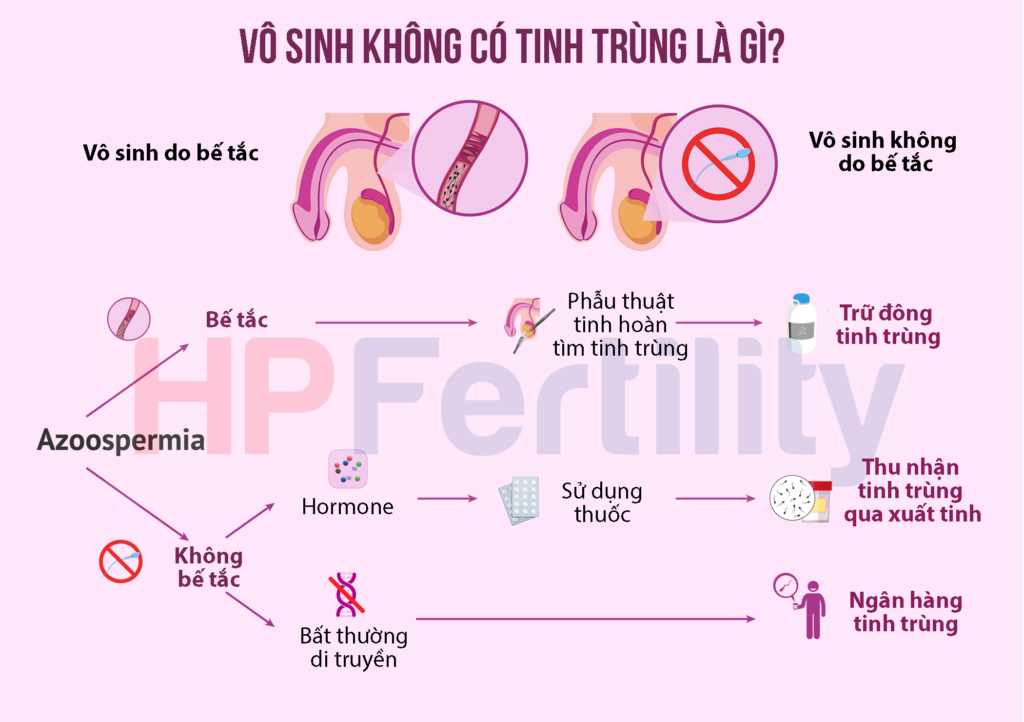 4. Phương Pháp Chẩn Đoán Vô Sinh