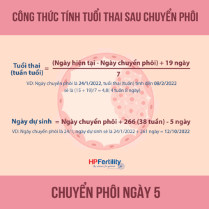 Cách tính tuổi thai IVF ngày 5 chính xác và dễ hiểu