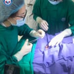Hoạt động tại khoa Hồi sức cấp cứu sơ sinh – Bệnh viện Quốc tế Sản Nhi Hải Phòng sau một tháng thành lập