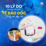 10 lý do ba mẹ nên cân nhắc lưu trữ tế bào gốc từ máu và mô dây rốn