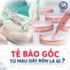 Tế bào gốc từ máu dây rốn – Món quà khởi đầu trọn vẹn cho con yêu