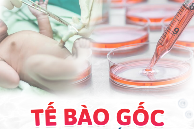 Tế bào gốc từ máu dây rốn – Món quà khởi đầu trọn vẹn cho con yêu