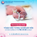 Thu thập tế bào gốc từ máu và mô dây rốn: An toàn tuyệt đối cho mẹ và bé