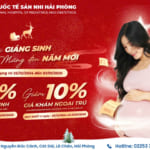 Mừng Giáng sinh – Vui đón Tết mở siêu ưu đãi: Món quà tri ân dành tặng mẹ và bé yêu